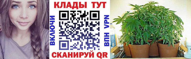 Наркошоп купить СОЛЬ  КОКАИН  ГАШИШ  Амфетамин  Канабис  Меф мяу мяу  Лермонтов