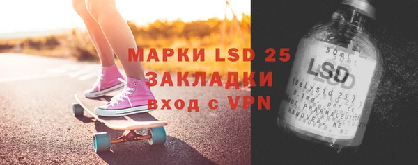 мдпв Каменка