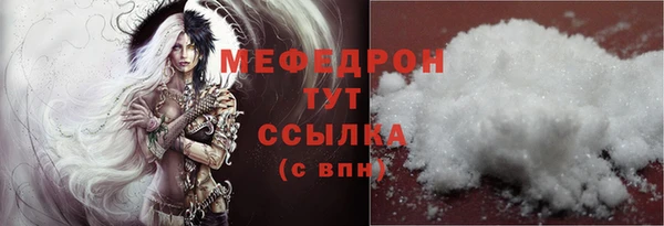 мдпв Каменка