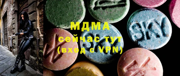 мдпв Каменка