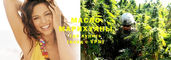 мдпв Каменка