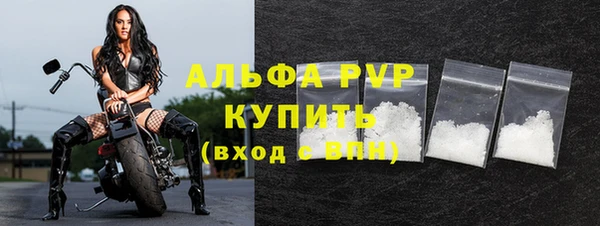 мдпв Каменка